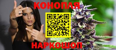 тгк Ставрополь